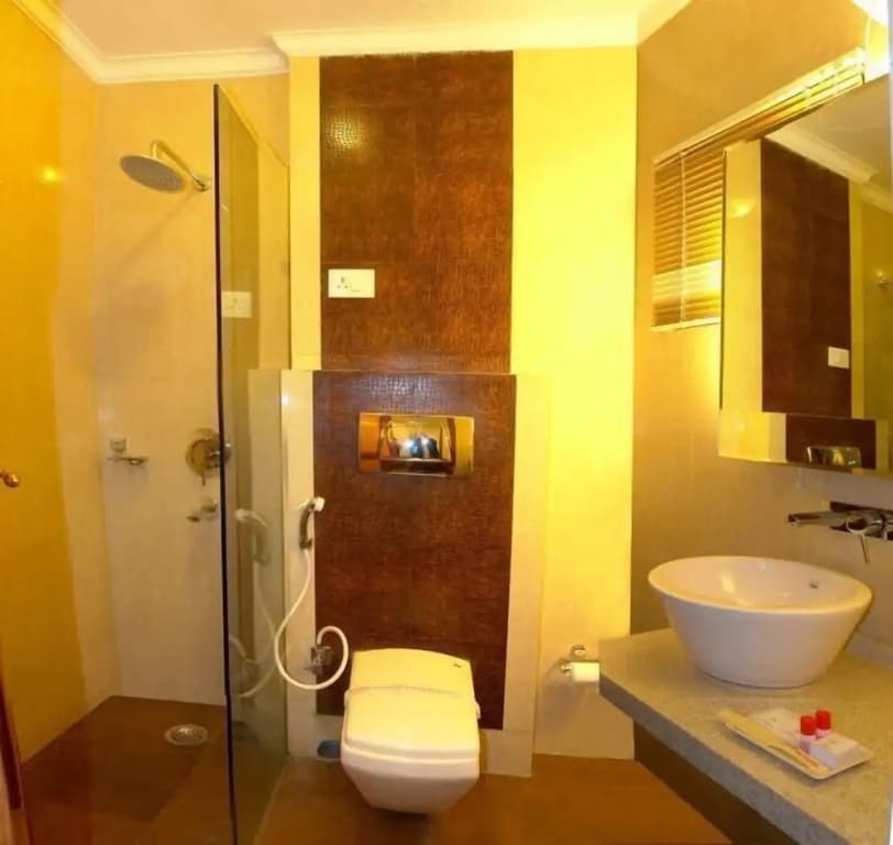 Hotel Singh International - photo 8