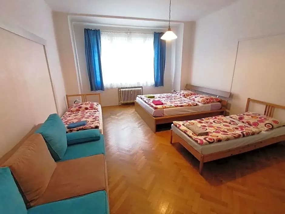 Bonvolon - photo 4
