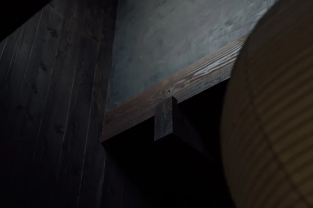 Maana Kamo - photo 12