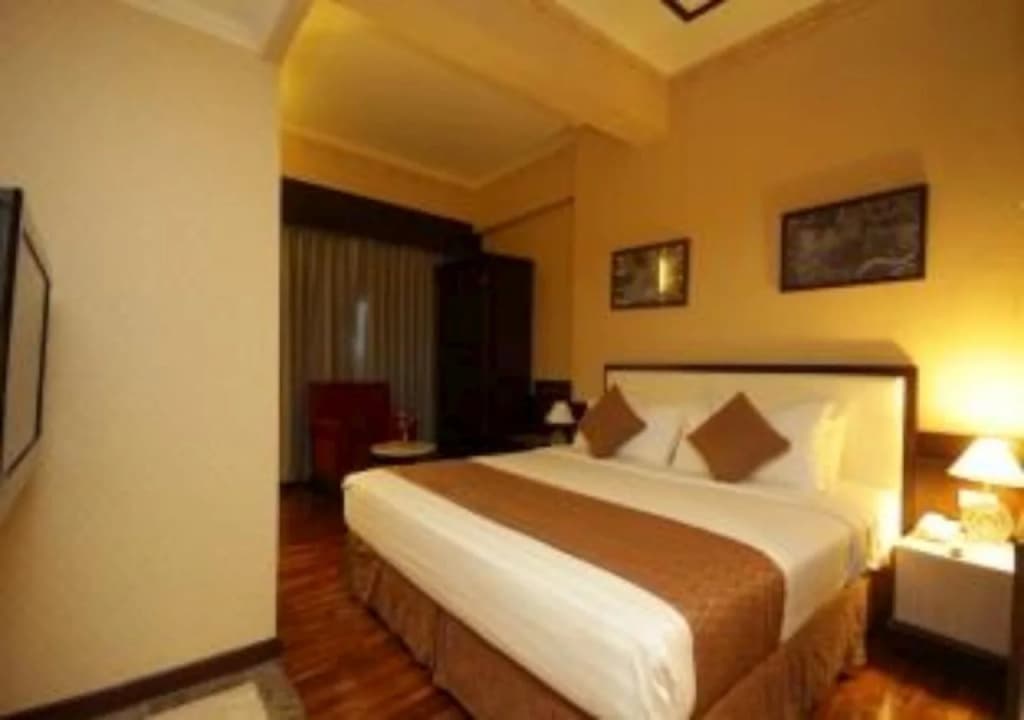 Maharadja Hotel - photo 4
