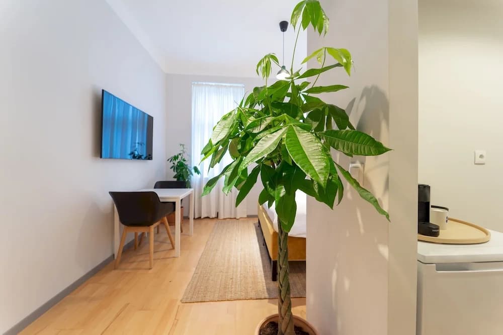 Modern Newly Refurbished Studio - Close TO Center - photo 10