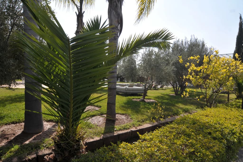 Riad Jawad & Spa - photo 21