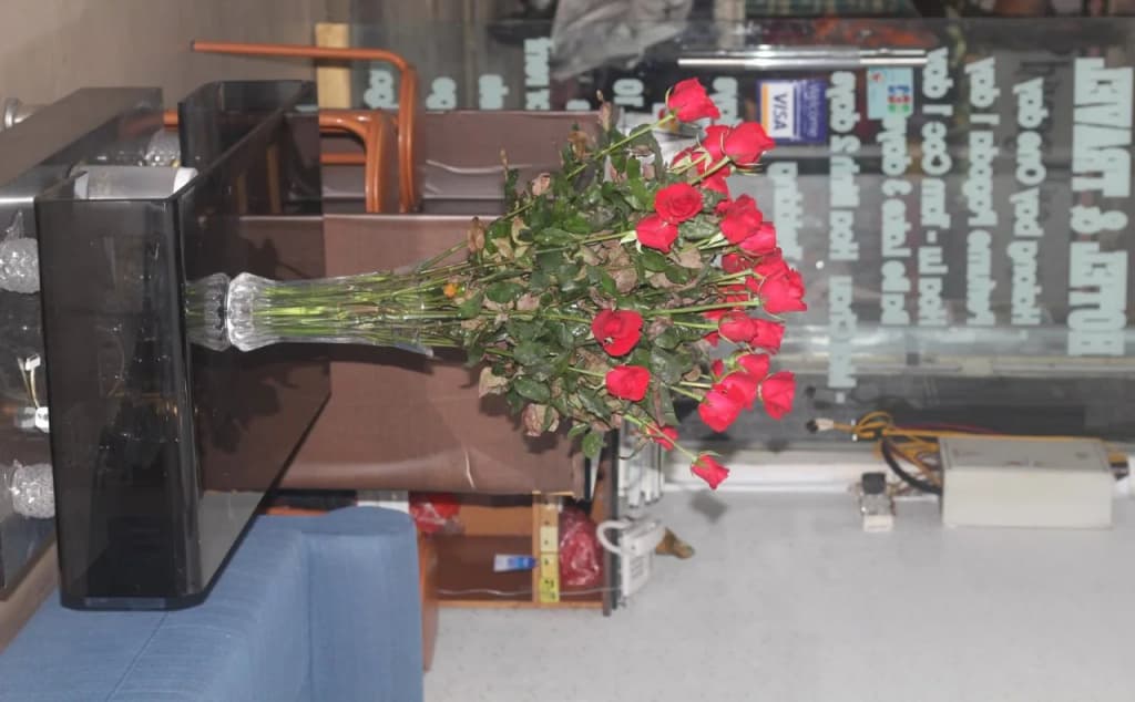 Hanoi Caballos Hotel - photo 8