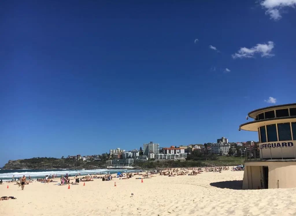Hotel Bondi - photo 15