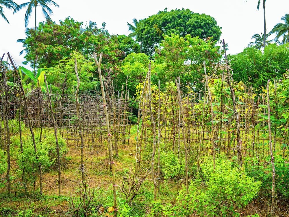 Villa Waimarie - photo 41