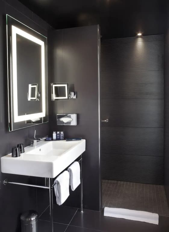 Maison Albar - Le Diamond - photo 15