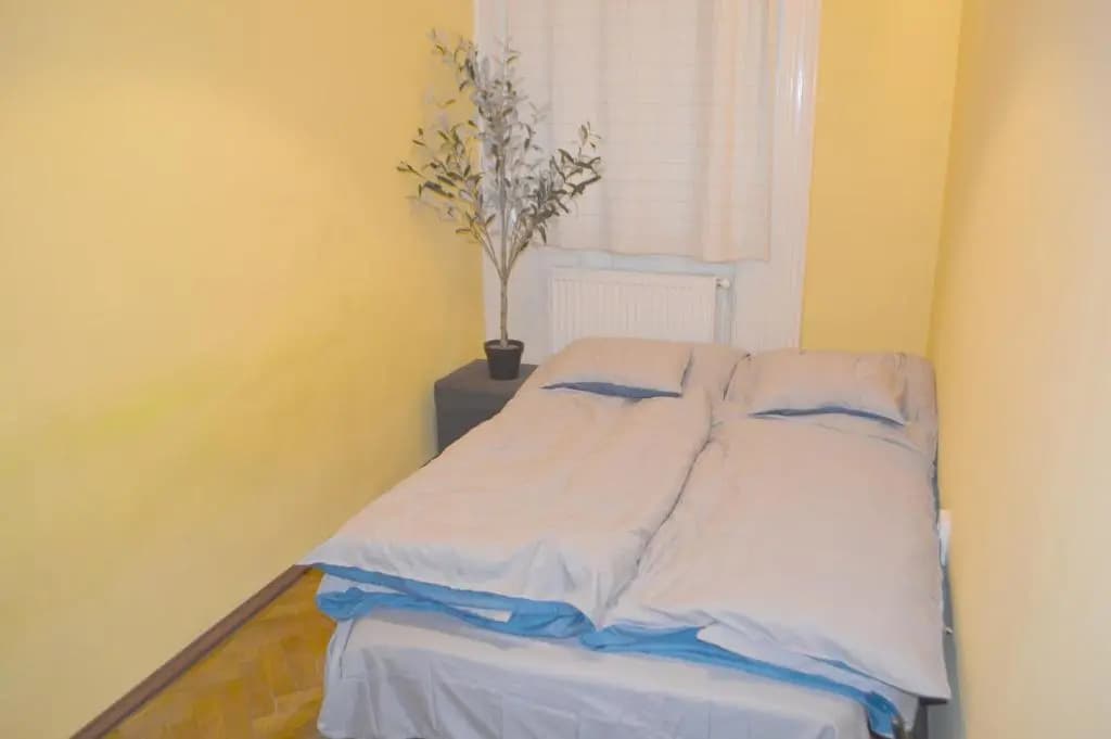 Riverside Danube Guest House - photo 1