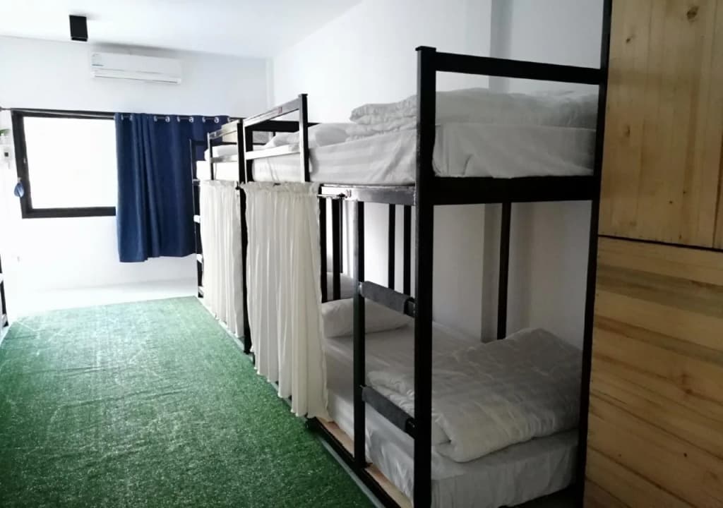 Alita Hostel&Bar - photo 3