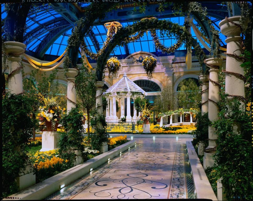 Bellagio - photo 16