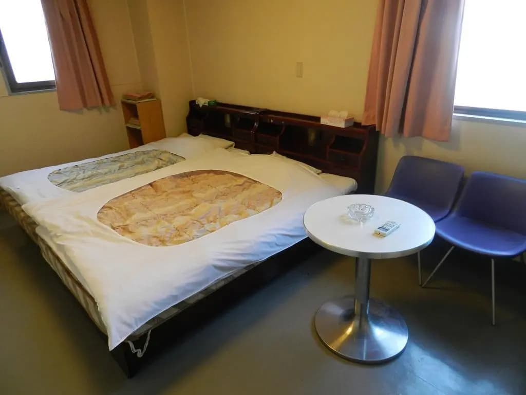 Hatoya Hotel - photo 6