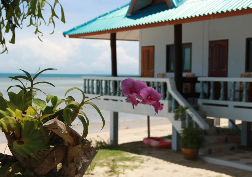 Sun Sea Resort - photo 10