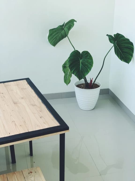 Capsule inn Bali - photo 15