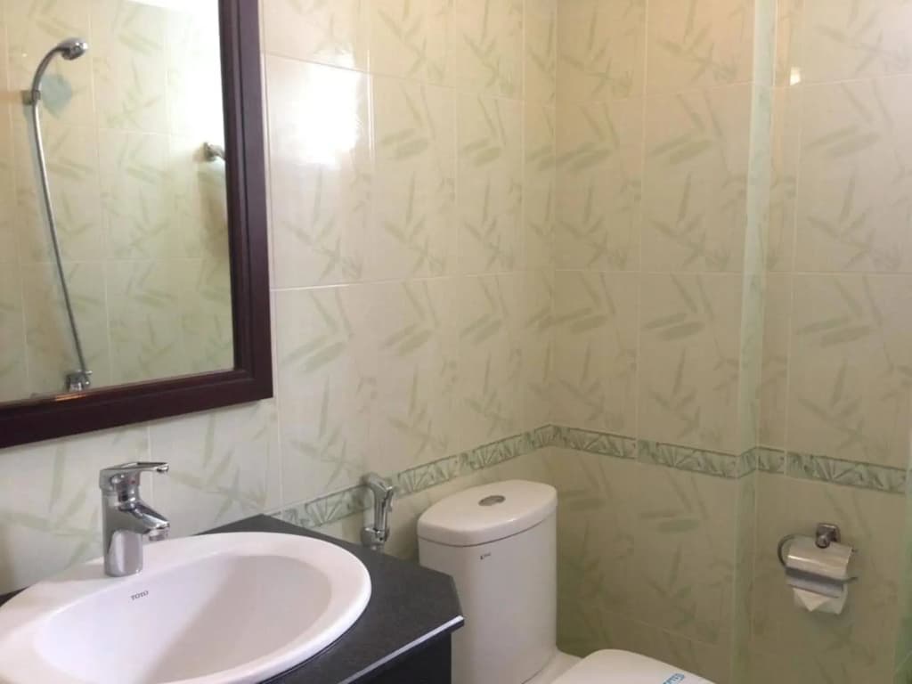 Nice Swan Hotel - photo 7