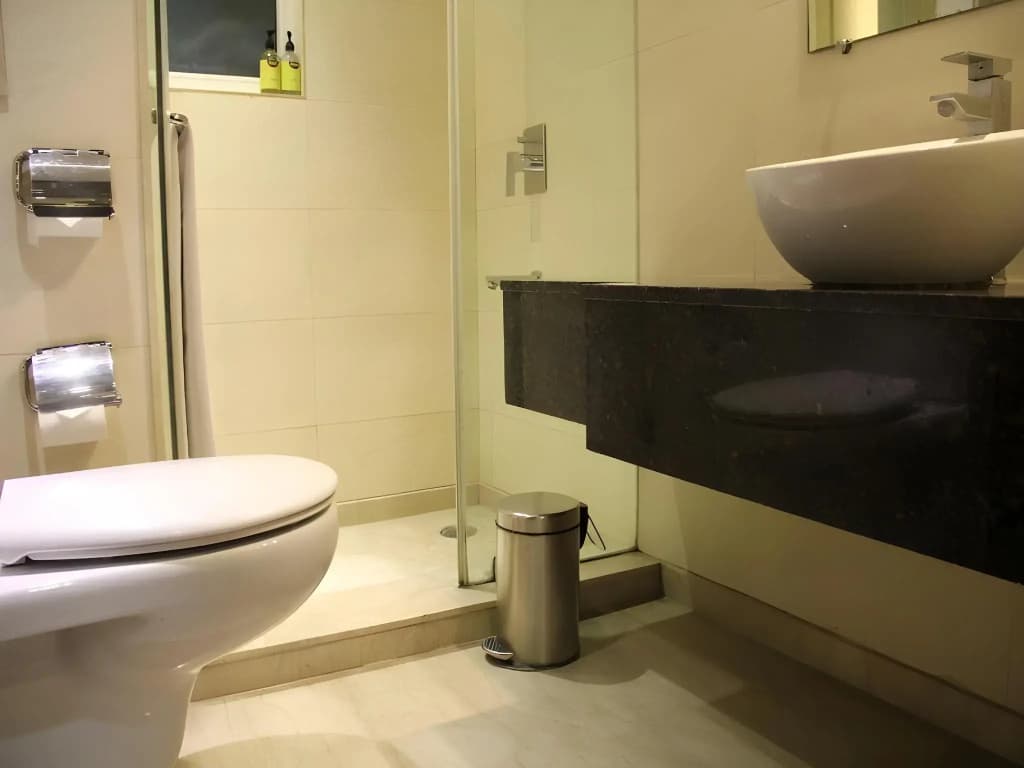 Madhuban Hotel - photo 8