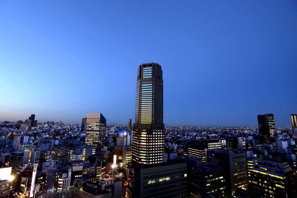 Cerulean Tower Tokyu Hotel - photo 30