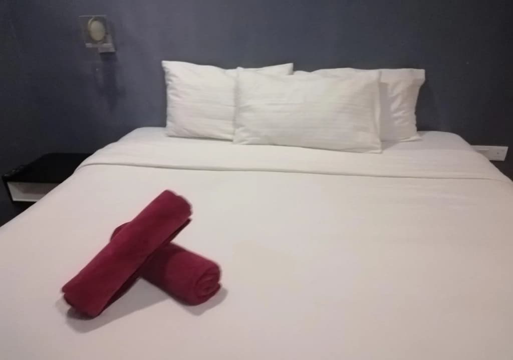 Nu Melati Hotel - photo 3