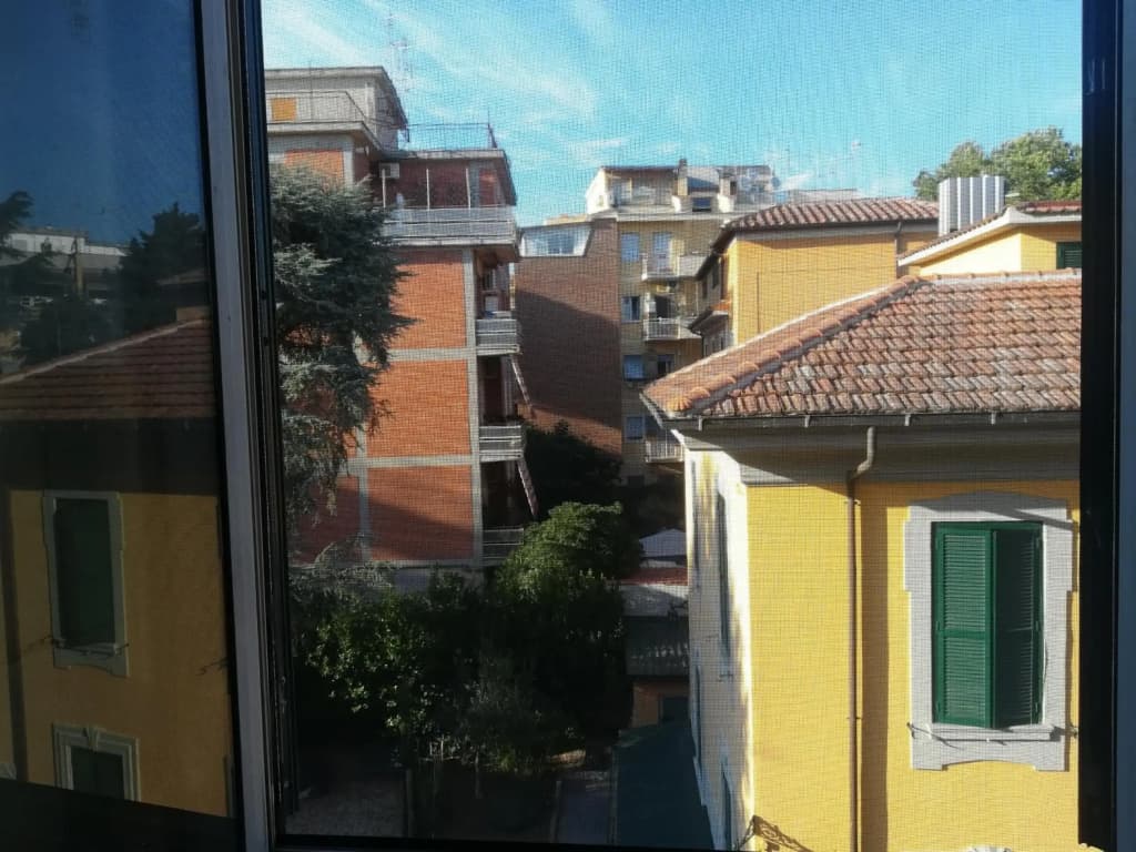 Vive Roma! - photo 13