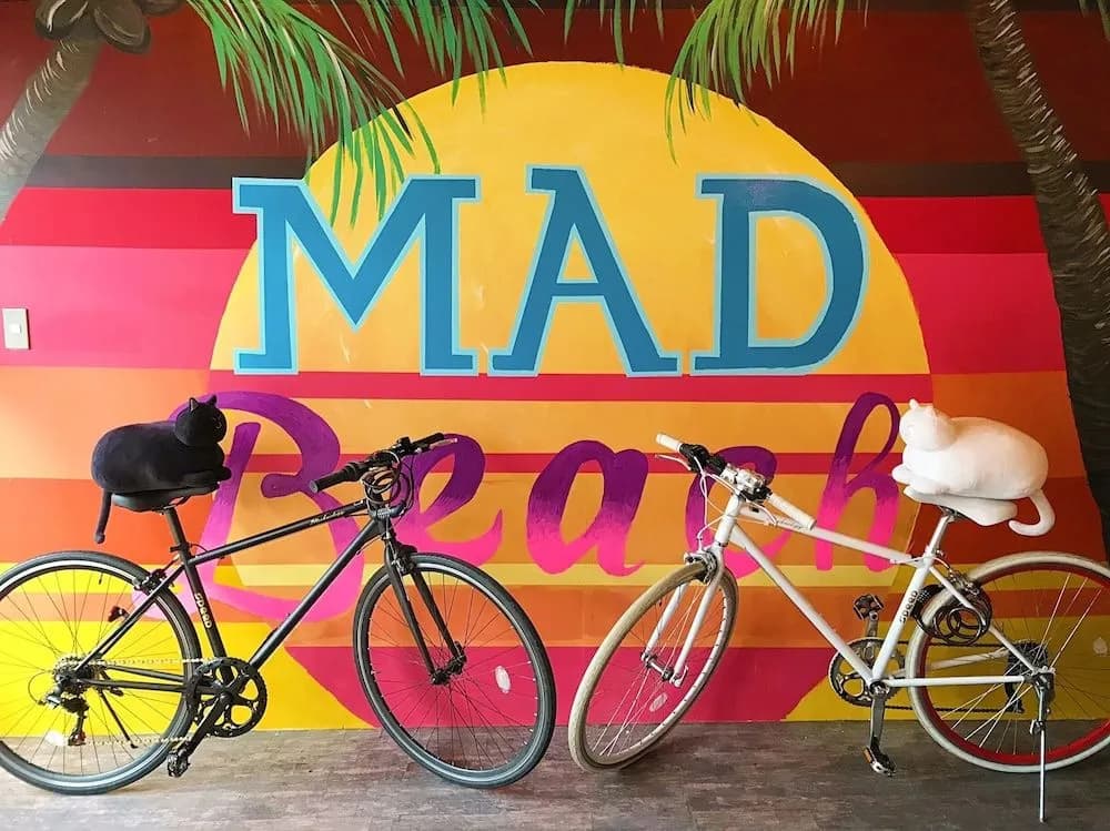 Mad Cat Hostel Osaka & Bar - photo 19