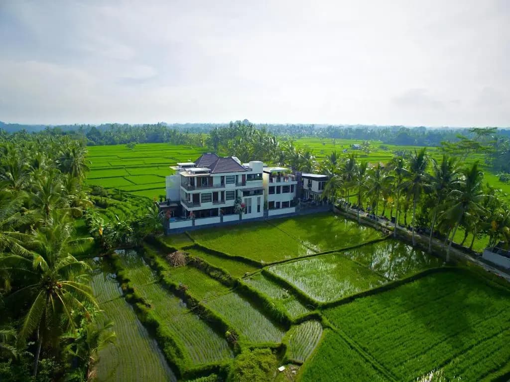 The Luxe Ubud, A Boutique Hotel - photo 19
