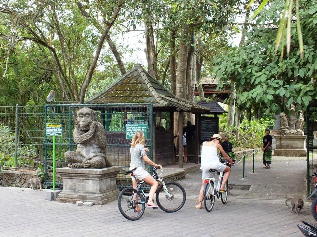 Ubud Wana Resort - photo 31