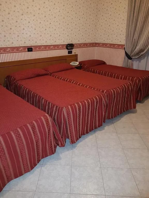Hotel Demetra Capitolina - photo 45