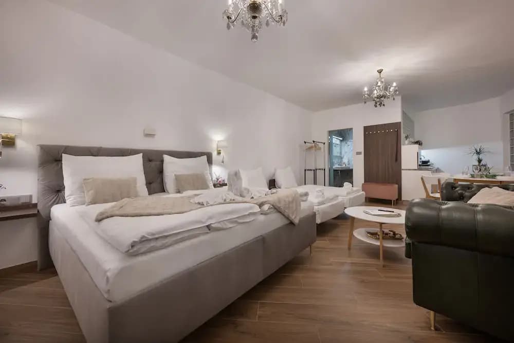 Kaiserstein Palace Apartments - photo 5