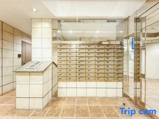 Lite House Shinsaibashi V - photo 1