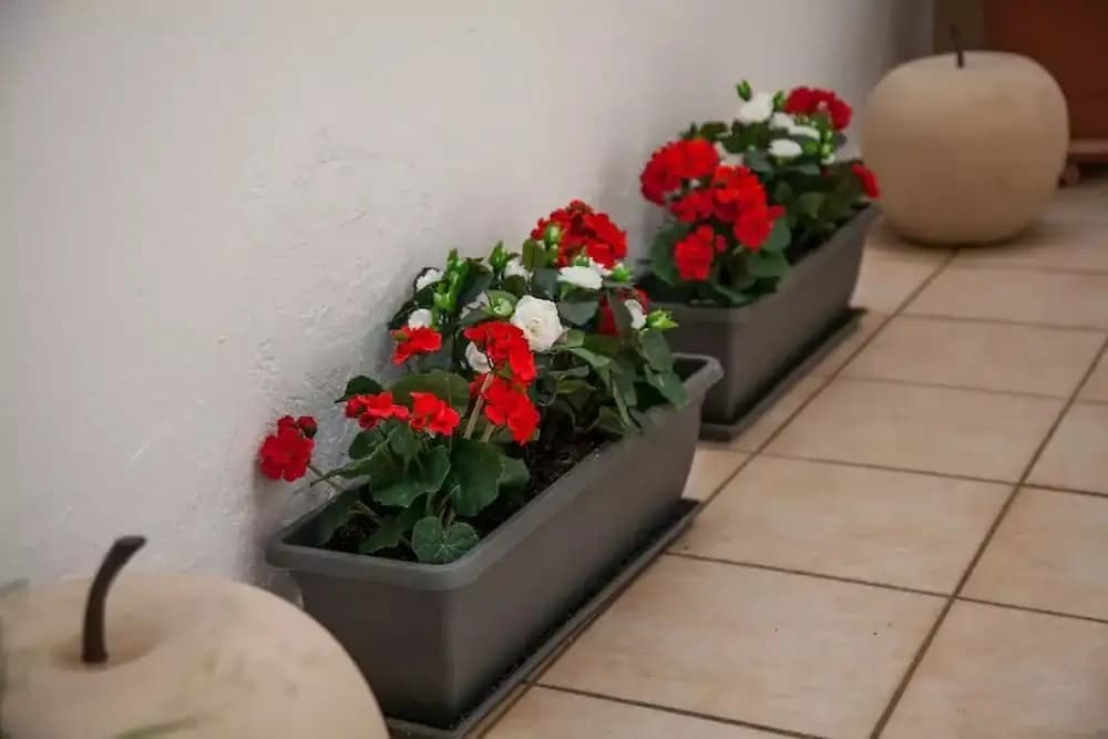 Thisio Modern House - photo 15