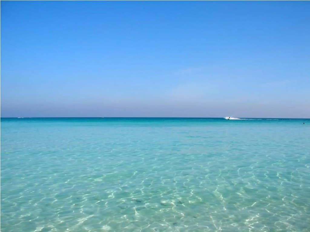 Marco Polo Resort&Restaurant - photo 10