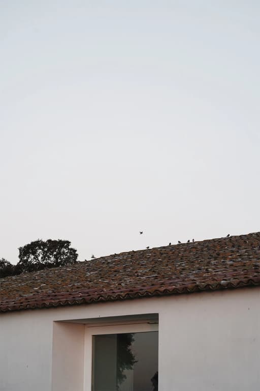 Casa no Tempo - photo 8
