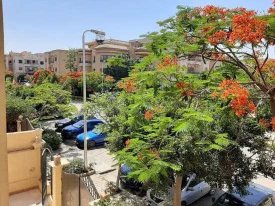 Small Friendly Apart in a Villa - New Cairo - photo 3