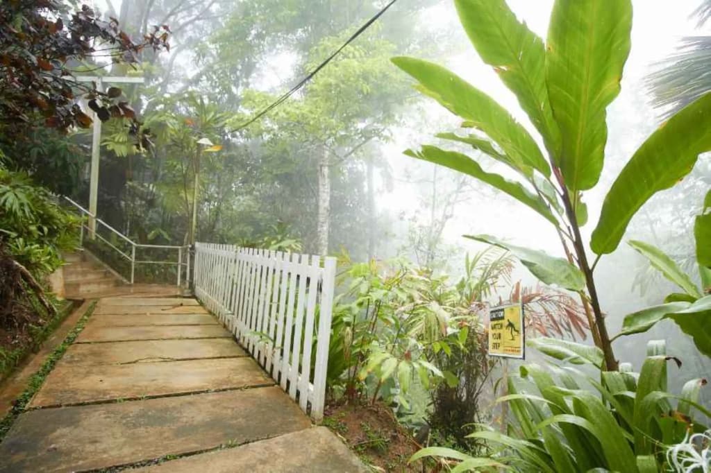 Bellevue The Penang Hill Hotel, Bukit Bendera - photo 17