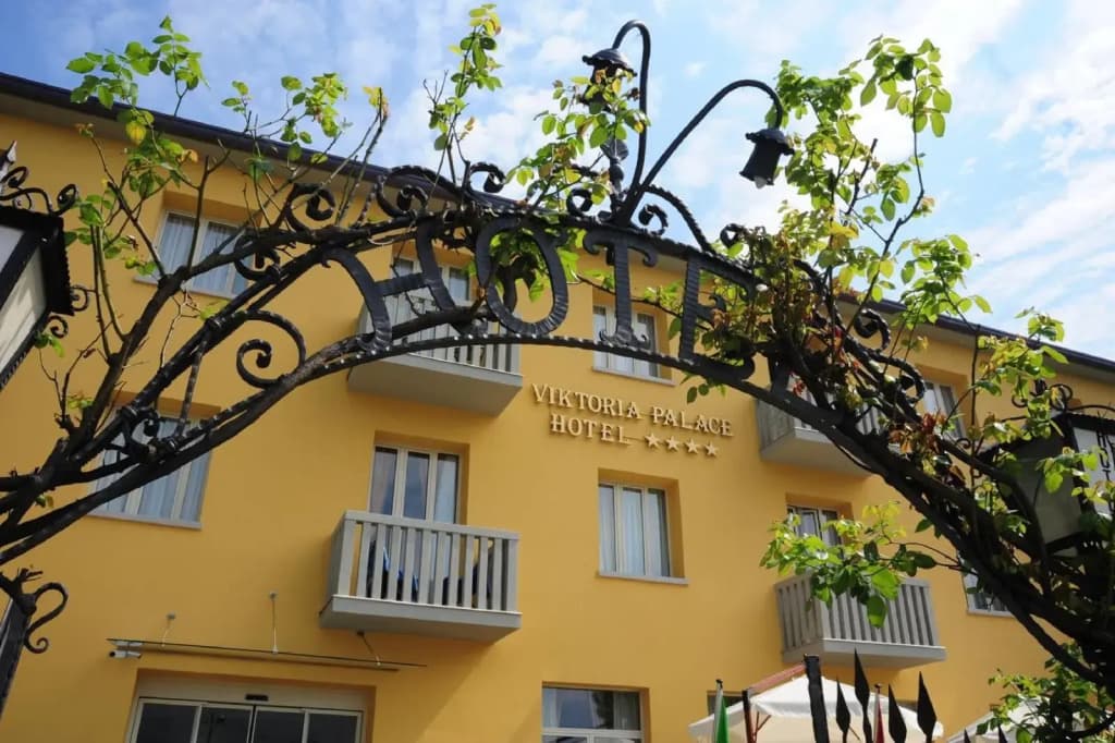 Viktoria Palace Hotel - photo 25