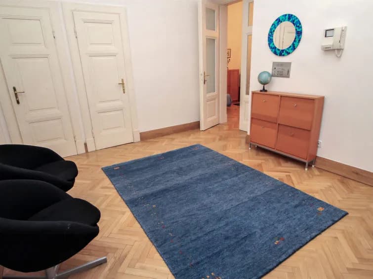 Manes Apartment - photo 9