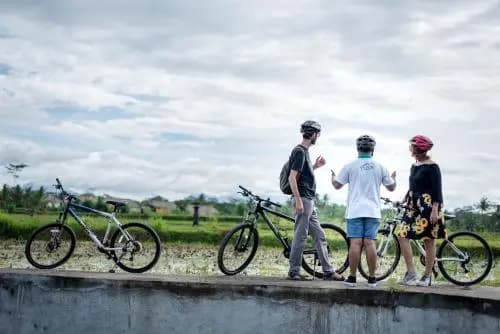 The Desa Ubud Villa - photo 21