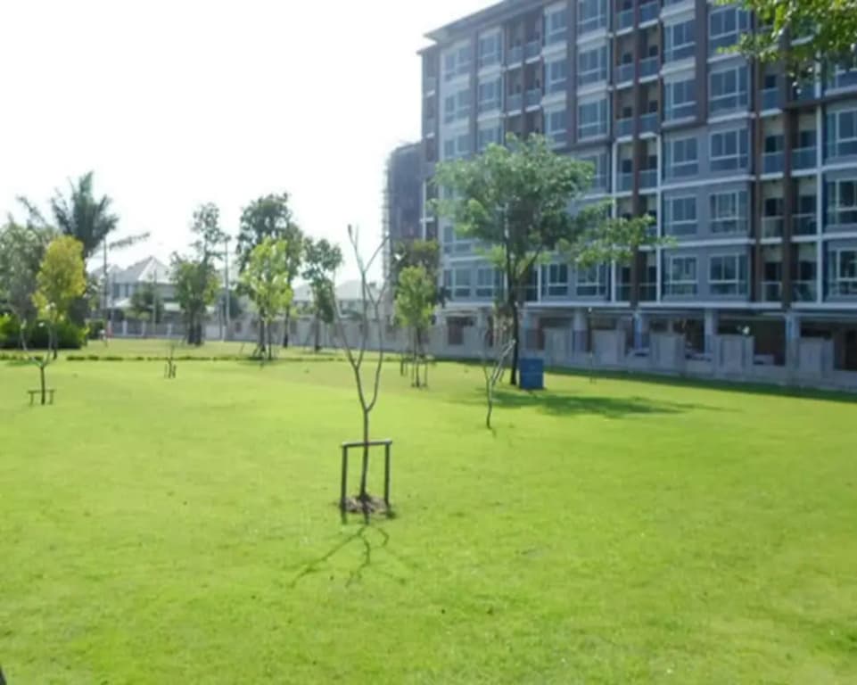 NN House - photo 16