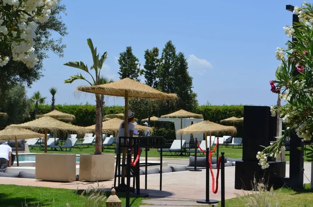 Le Nerolïa - photo 19