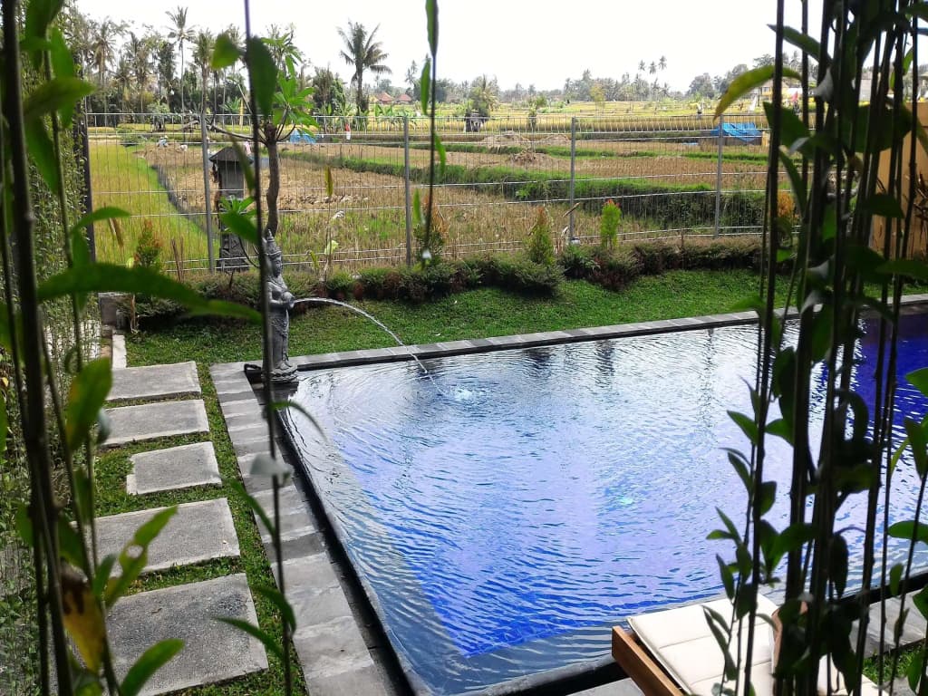 Long Lane Villa - photo 4