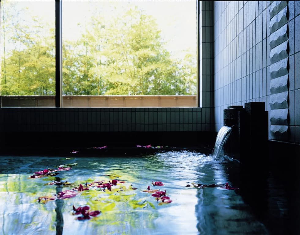 Forest inn Showakan (Okura Hotels & Resorts) - photo 26