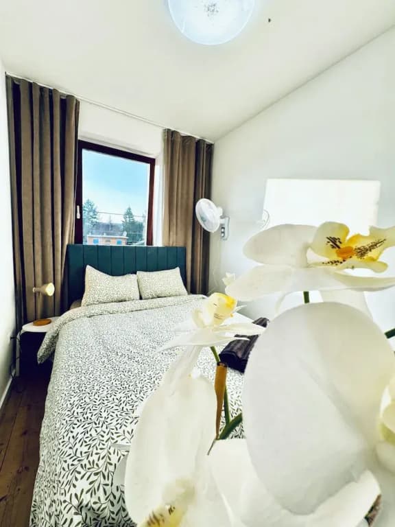 Spacious Budget Home Garden Stay - photo 47