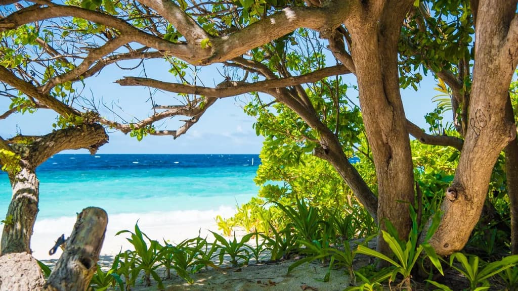 Villa Kamadhoo - photo 10
