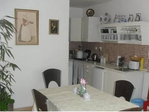Pension Hanspaulka - photo 11