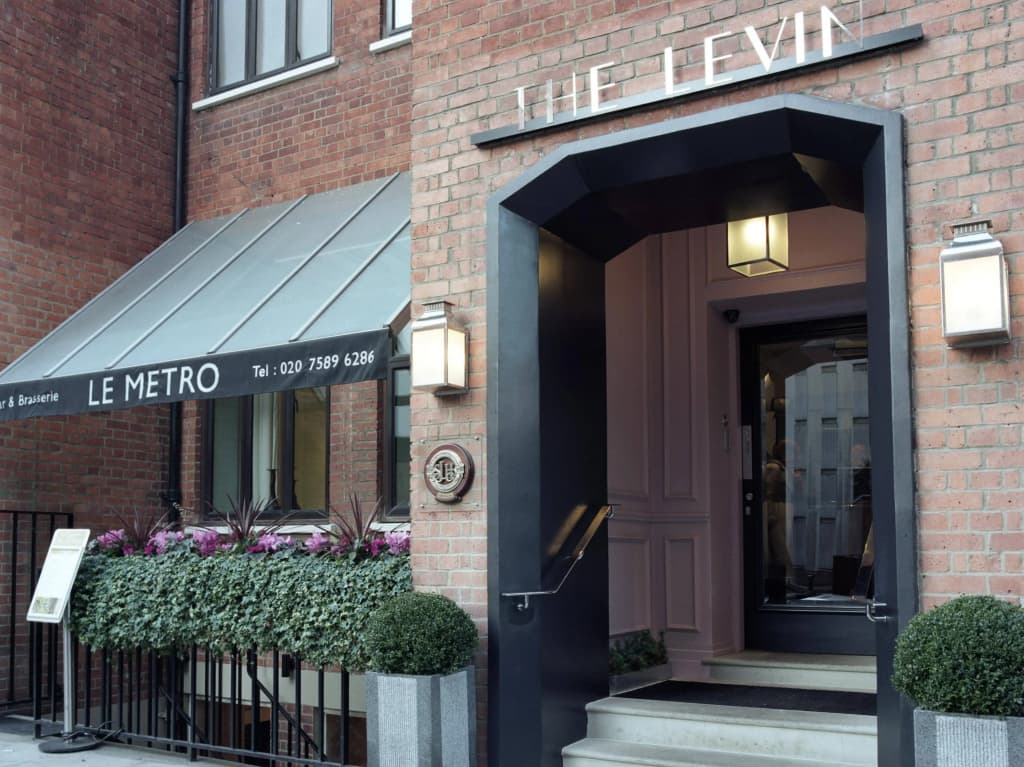The Levin - main photo