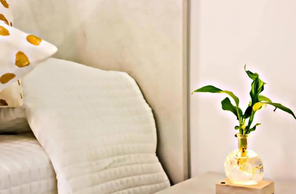 Suite Ca’ Della Tana - photo 29