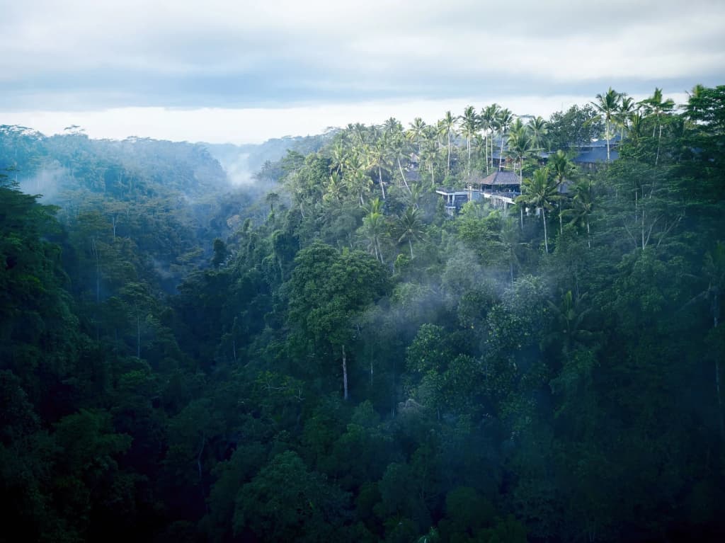 HOSHINOYA Bali - photo 19