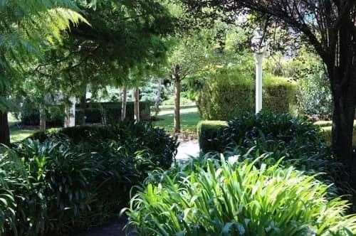 林利庄园(Linley Estate) - photo 13