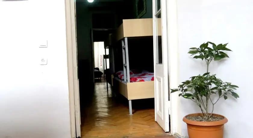Dadiani - photo 5
