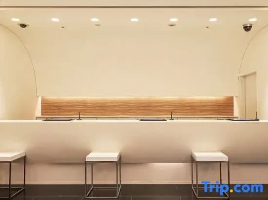 Hotel Oriental Express Ginza West - photo 1