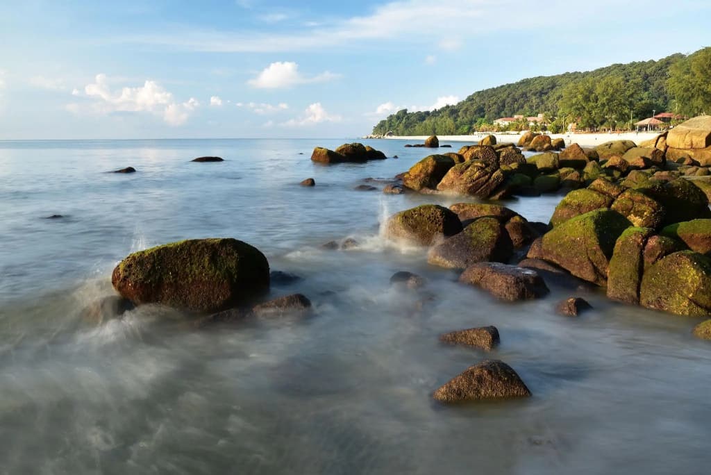 Hornbill Resort Pulau Pangkor - photo 11