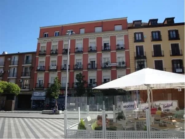 Dana Madrid Apartamentos - photo 13